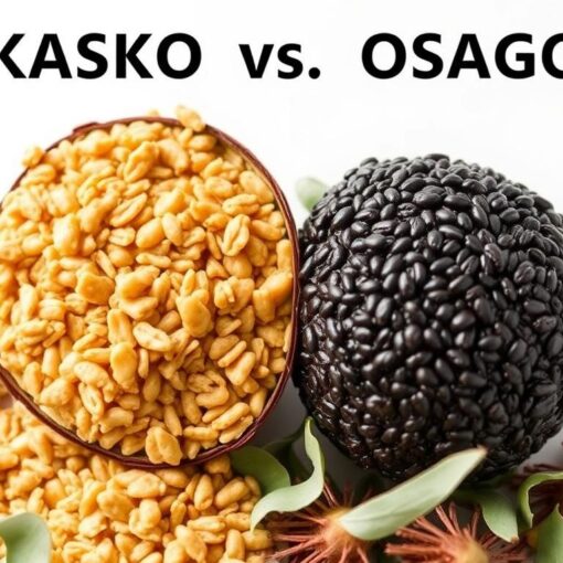 Отличия КАСКО и ОСАГО - в чем разница?