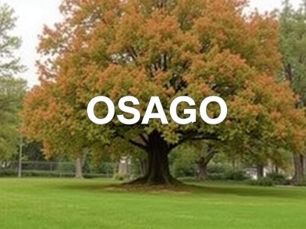 КС в ОСАГО: Что такое коэффициент сезонности . Короткие ответы на популярные вопросы КС в ОСАГО: Что такое коэффициент сезонности . Короткие ответы на популярные вопросы